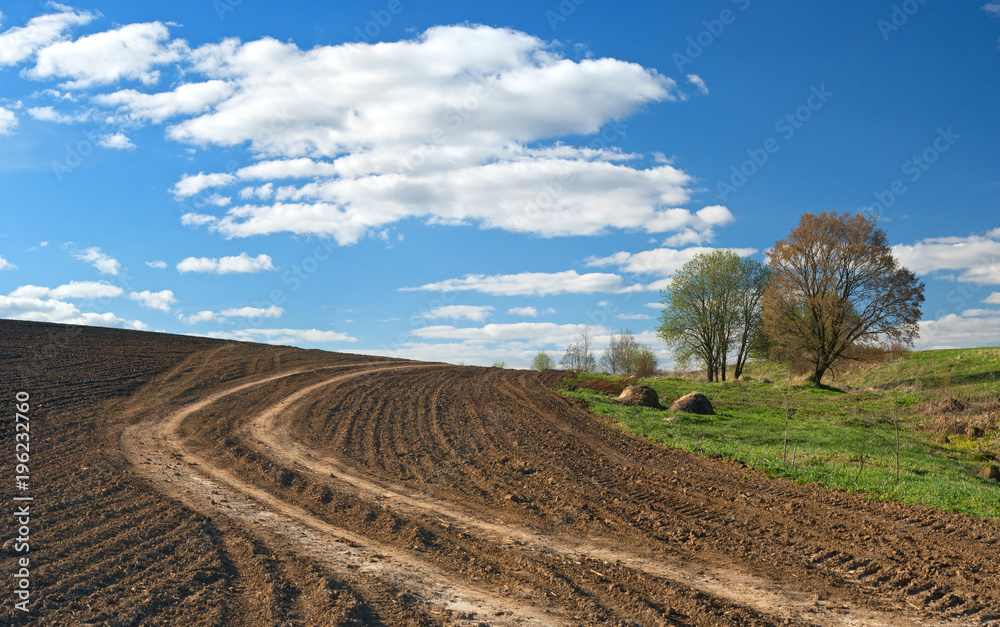 五月的耕地和土路，欧洲乡村景观。