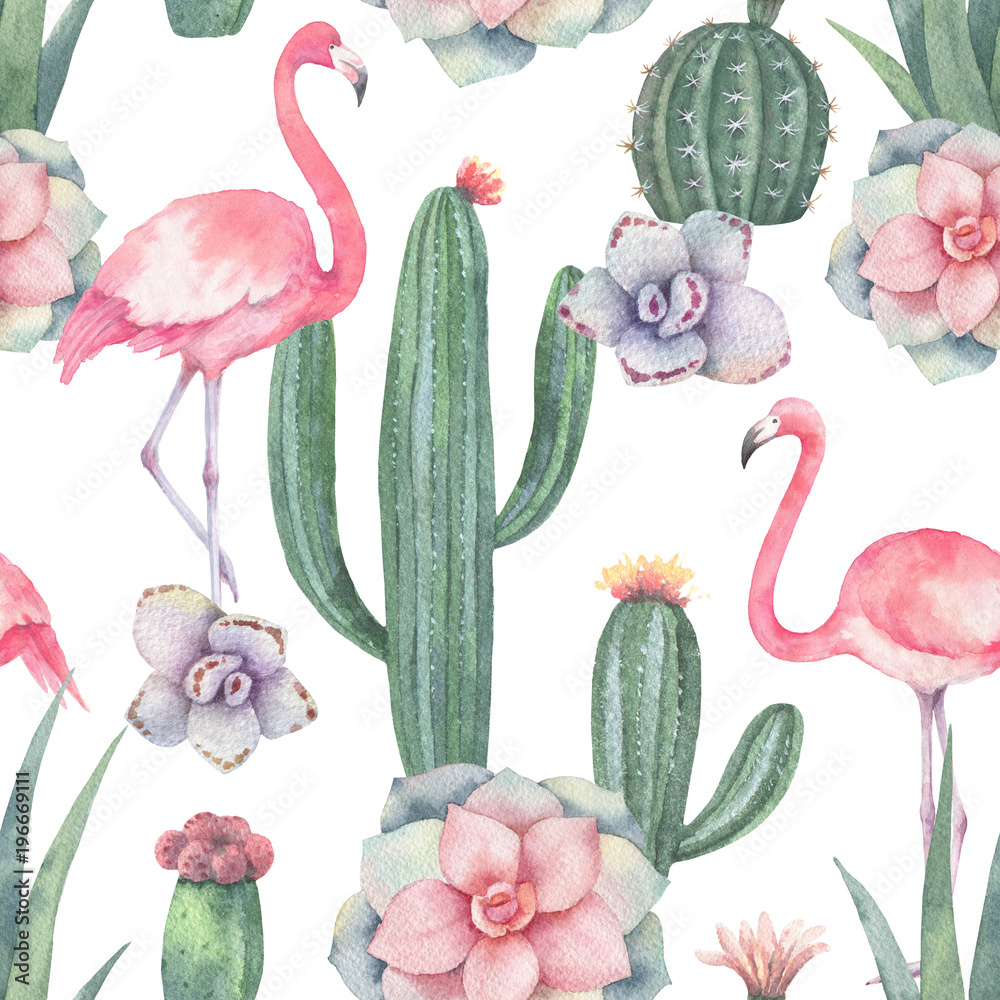 粉红色火烈鸟、仙人掌和肉质植物在白色背景上的水彩无缝图案