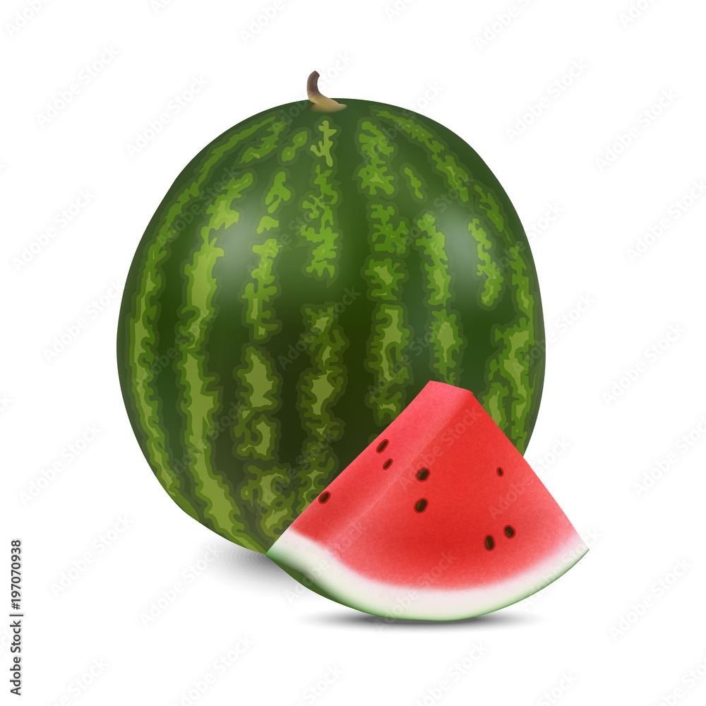 Ripe delicious juicy watermelon on a white background. Realistic style. Vector illustration.