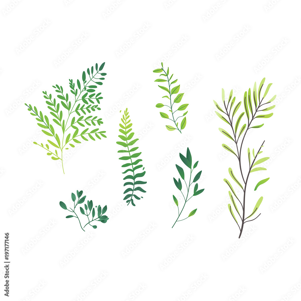 矢量卡通抽象绿色植物集图标。野生草地草地花园春季复活节，女性da