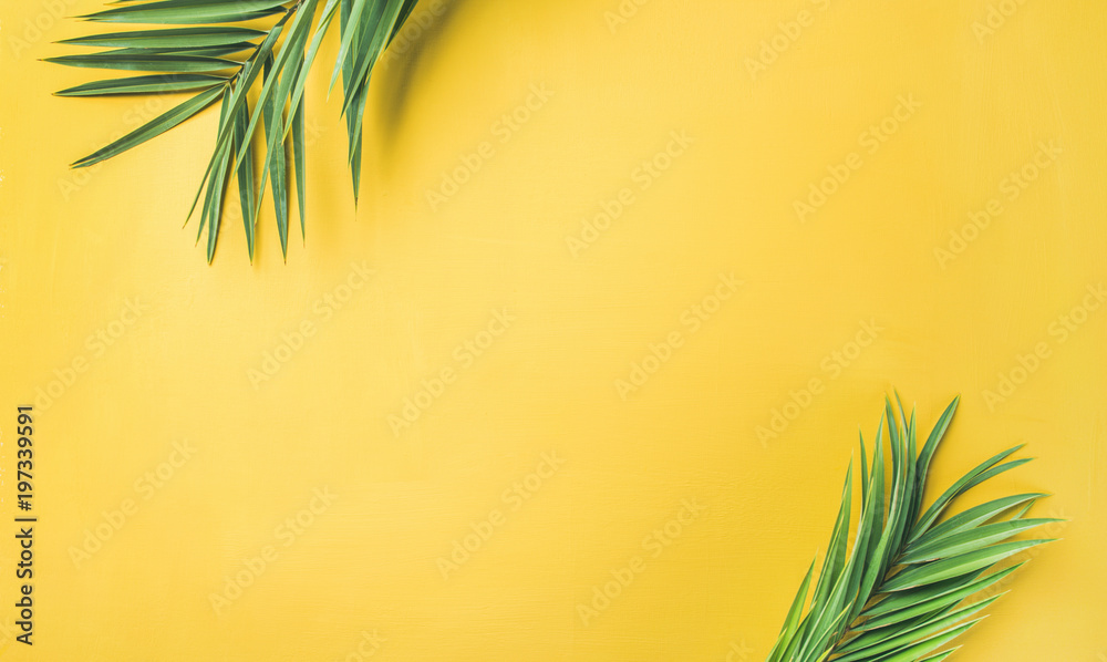 黄色背景上绿色棕榈枝的平面布局，俯视图，复制空间，宽构图。总结