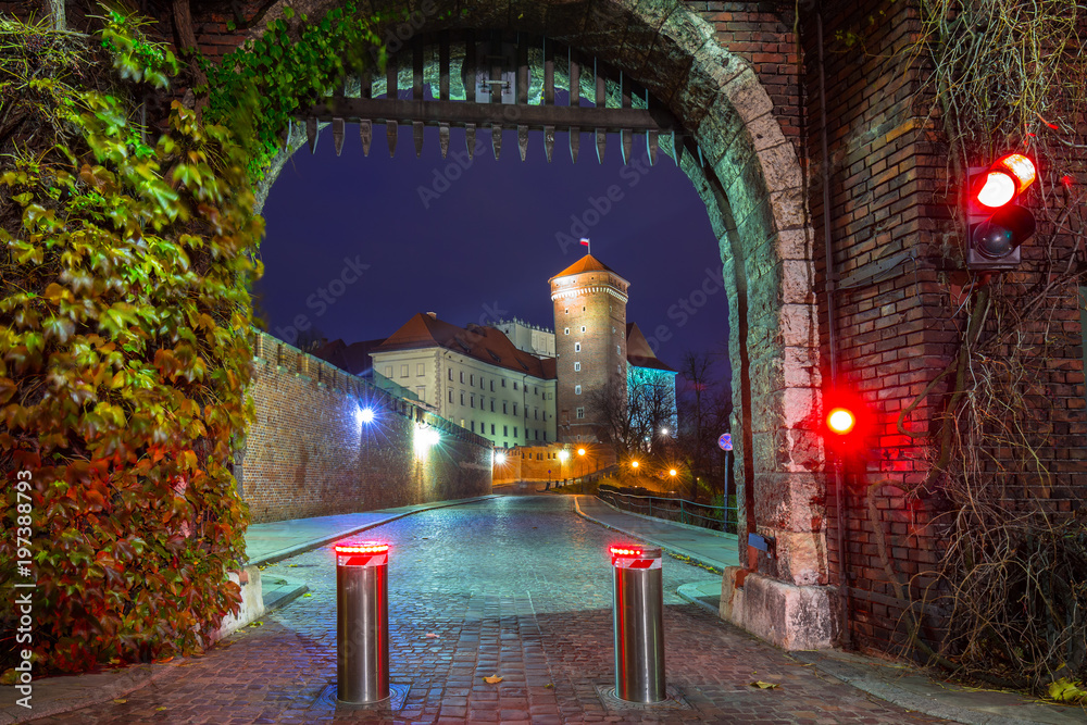 波兰克拉科夫皇家瓦维尔城堡夜间之门