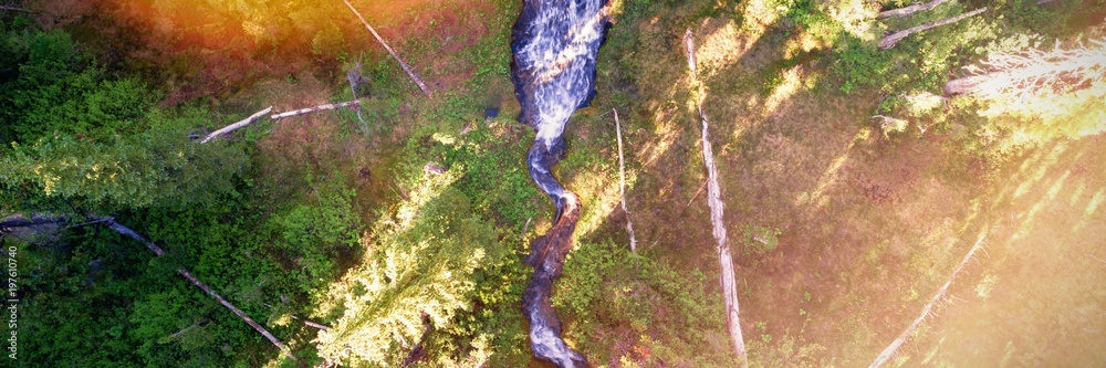 流经绿色森林的溪流