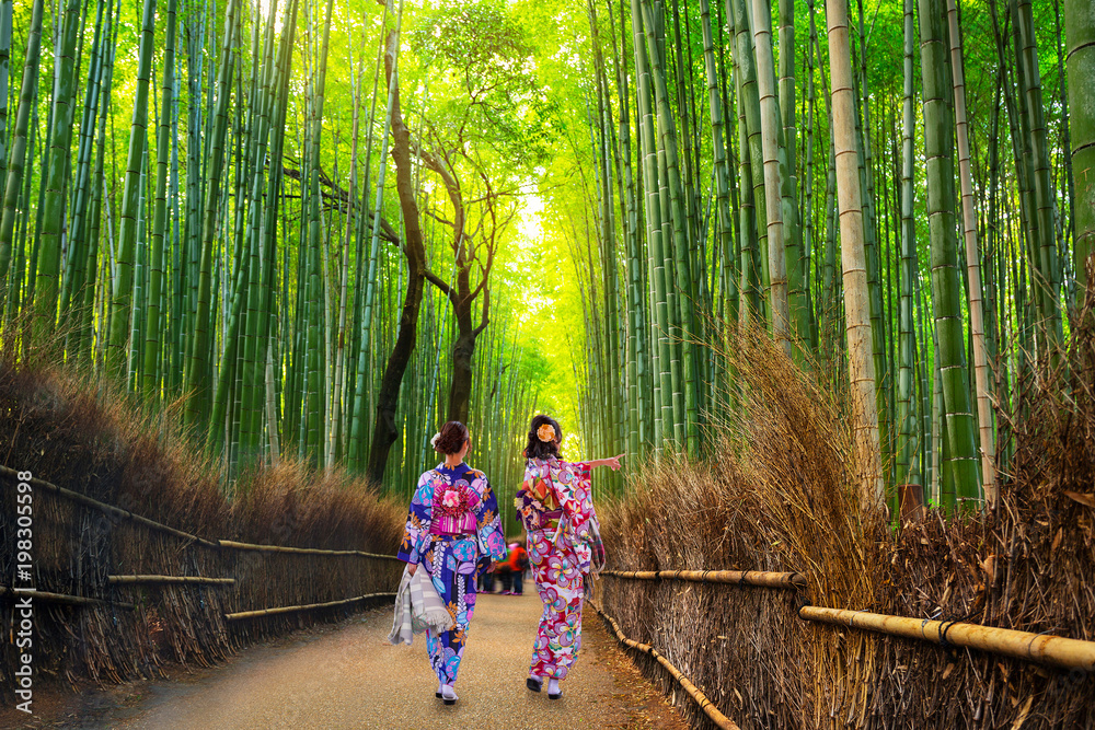 日本京都附近荒山的竹林