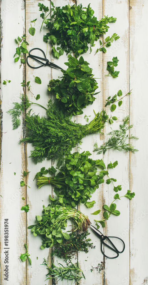 各种新鲜绿色厨房草本植物的扁平组合。香芹、薄荷、dill、香菜、迷迭香，t