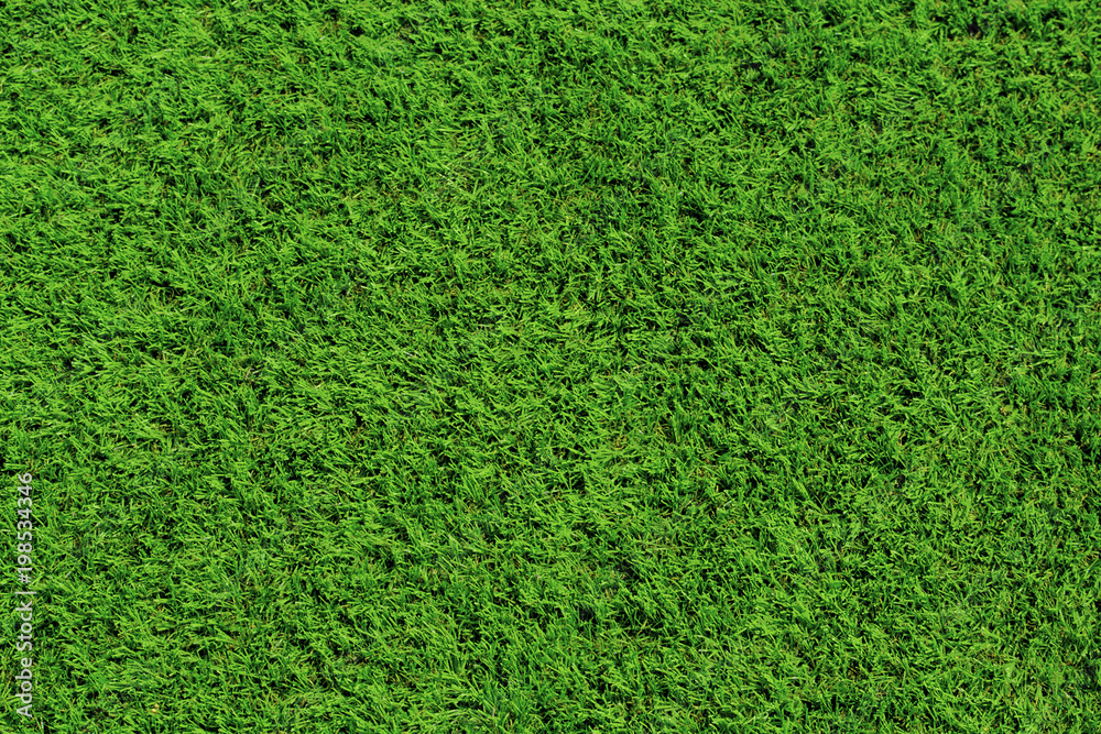 明亮的绿色草地背景，足球草坪