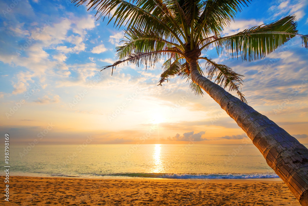 日出时有棕榈树的美丽热带海滩海景。夏日背景下的海景海滩。