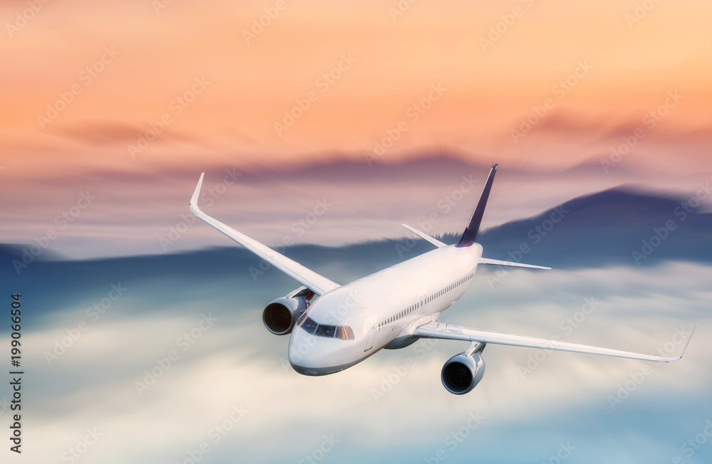 风景背景下的飞机。交通的概念和理念