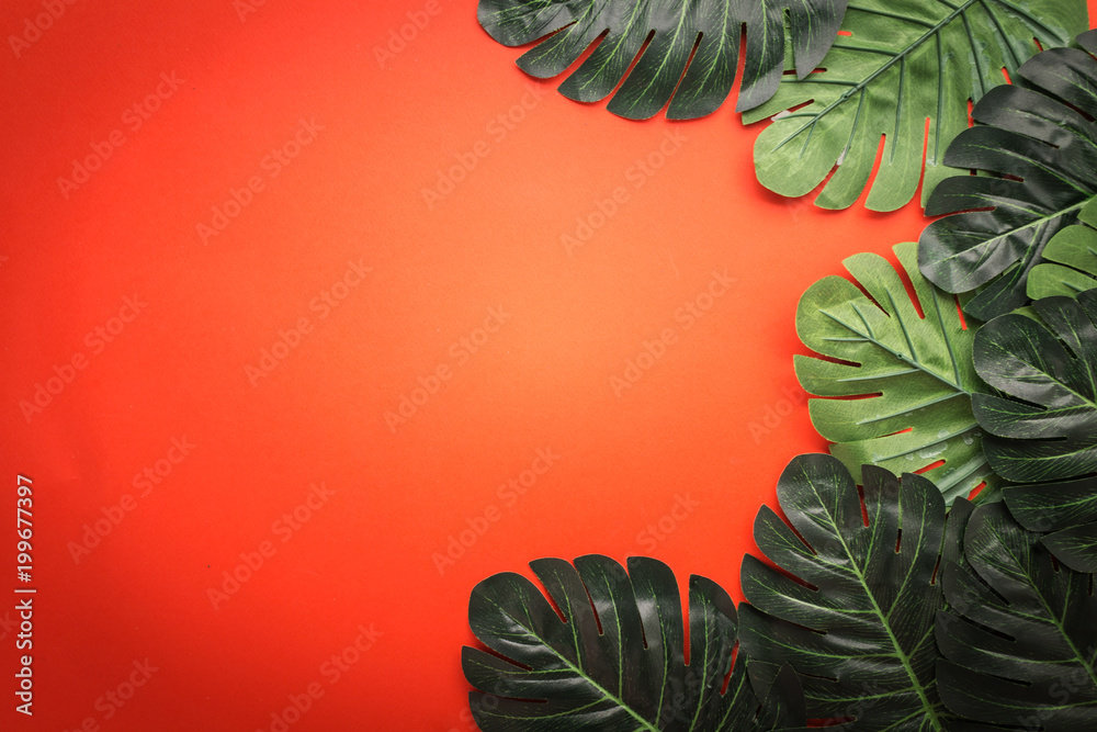 flat lay frame border of green tropical leaf frame on clor background with free copy space for your 
