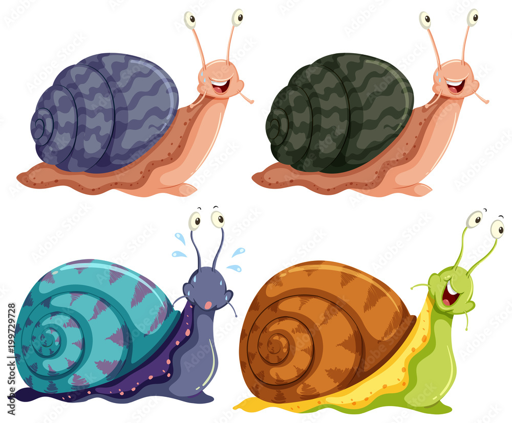 孤立的四色快乐蜗牛