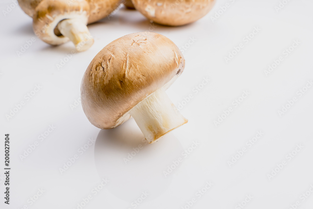 白色背景上的新鲜棕色蘑菇。