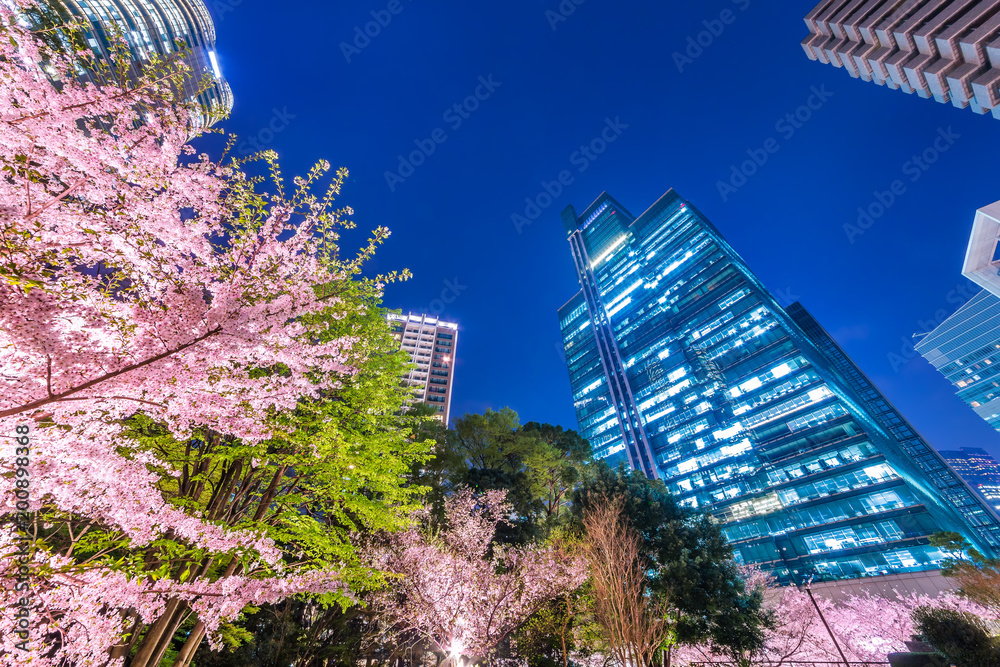 高層ビル群と桜