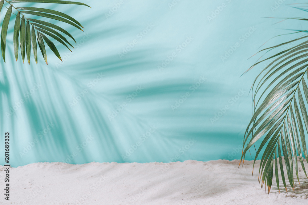 夏季概念。蓝色背景上的棕榈树阴影。