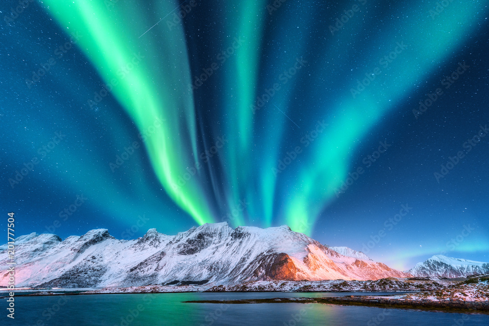 北极光。挪威罗弗敦群岛。极光。绿色的北极光。带极光的星空