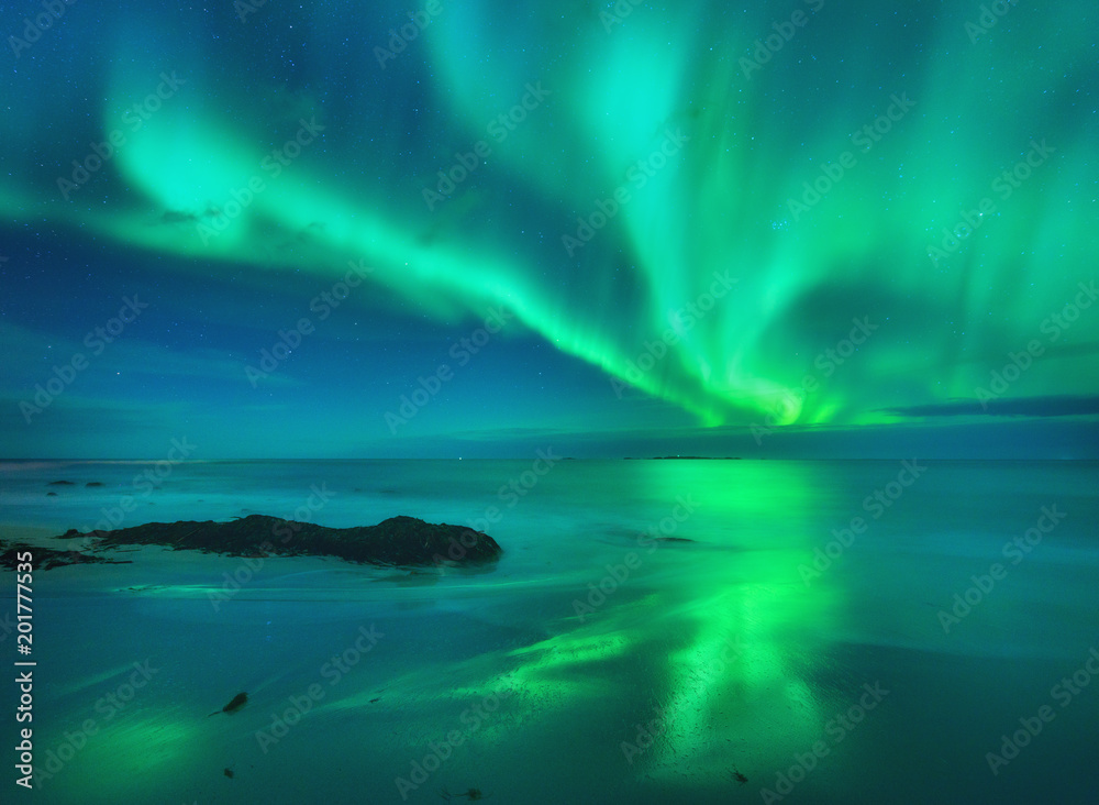 Aurora on the sea. Northern lights in Lofoten islands, Norway. Starry sky with polar lights. Night l
