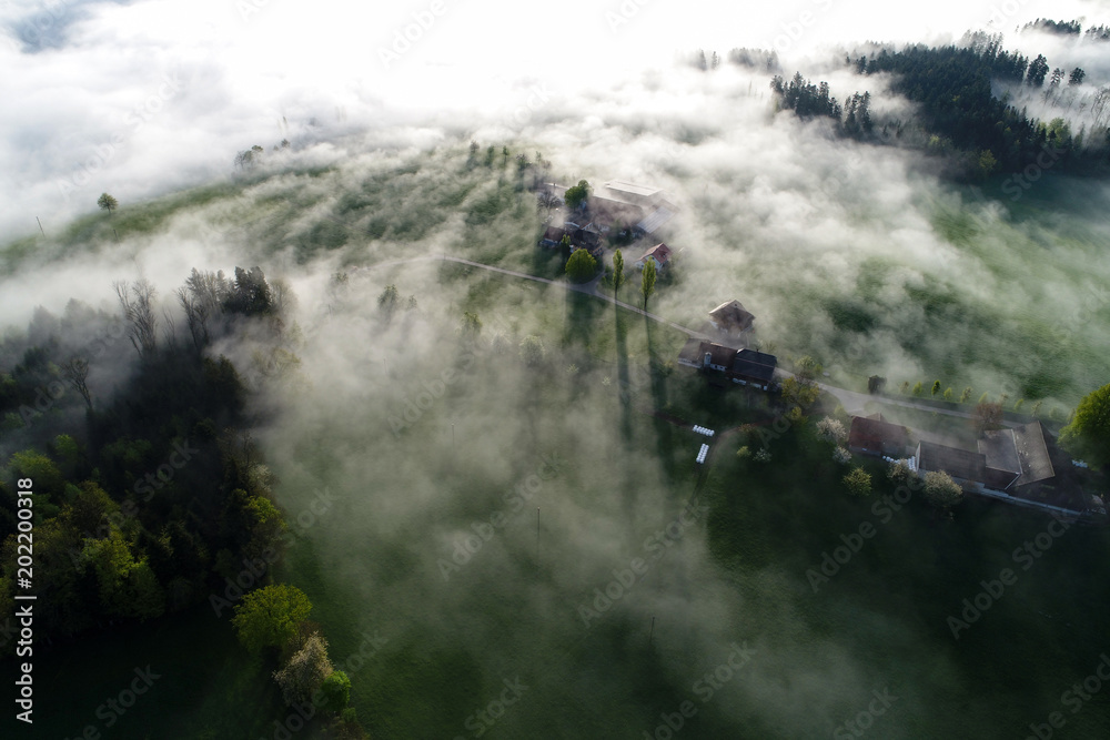 瑞士春天的早晨，薄雾穿过农场