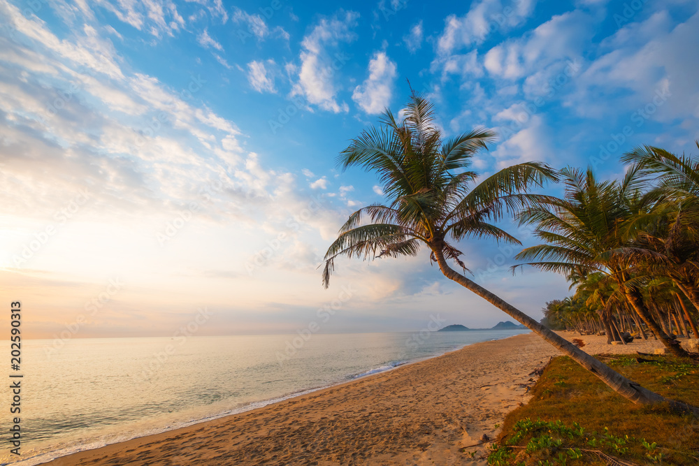 日出时有棕榈树的美丽热带海滩海景。夏日背景下的海景海滩。