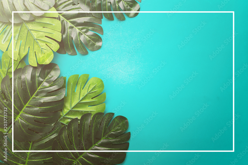 平坦的绿色热带树叶框架，背景为木屐，为您的创意id提供免费复制空间