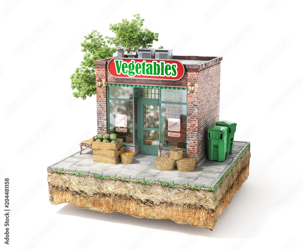 商业概念。蔬菜店隔离在白色上。3d插图
