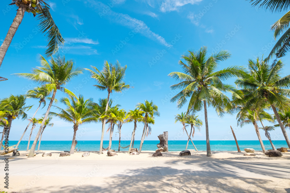 夏季热带海滩上的椰子树景观。夏季背景概念。