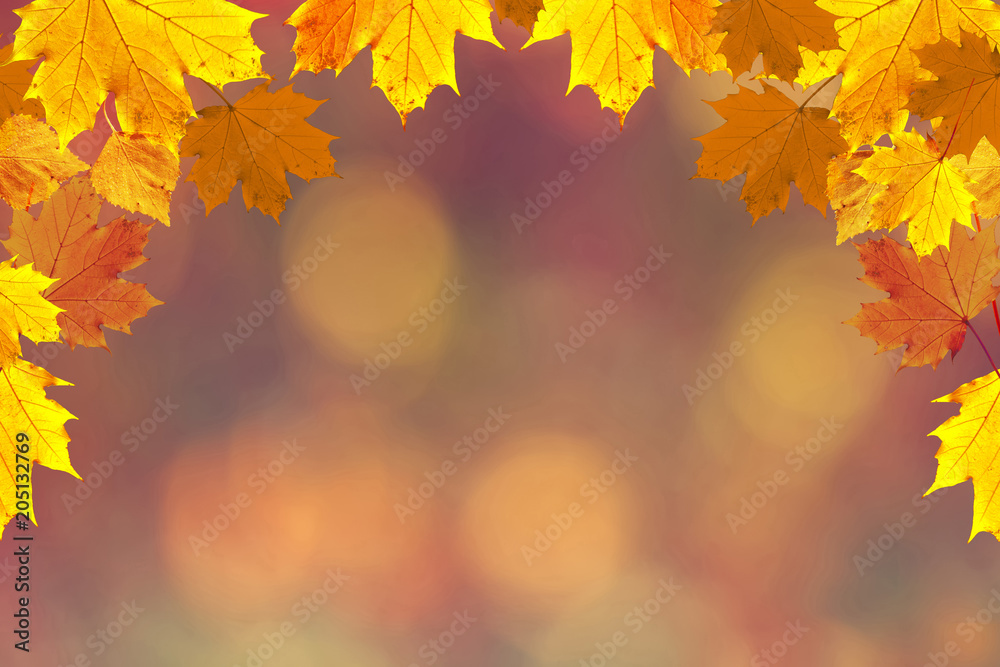 彩色的秋季树叶在模糊的散焦复制空间背景上。使用了选择性对焦。