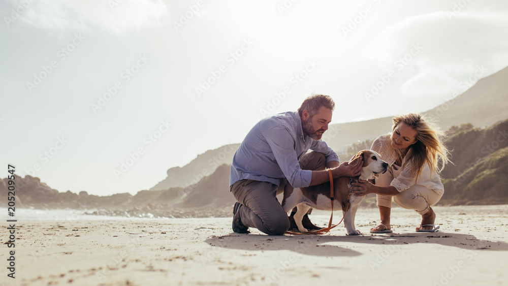 Mature couple with pet dog on the beach