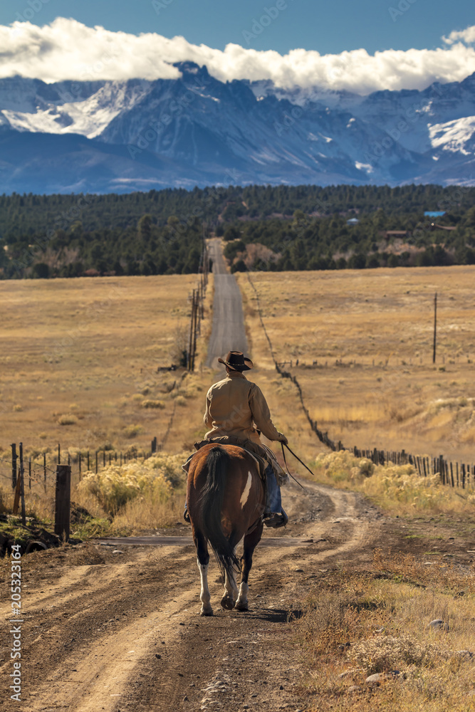 通往圣胡安山脉和Mnt.Sneffels的长土路上的牛道上的牛仔
