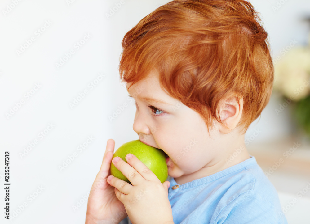可爱的红头发蹒跚学步的婴儿咬着美味的绿苹果