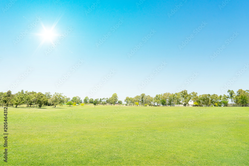 蓝天下的绿色田野，伴随着太阳耀斑。