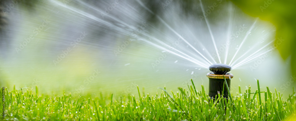 自动喷水灭火系统在绿草如茵的背景下给草坪浇水