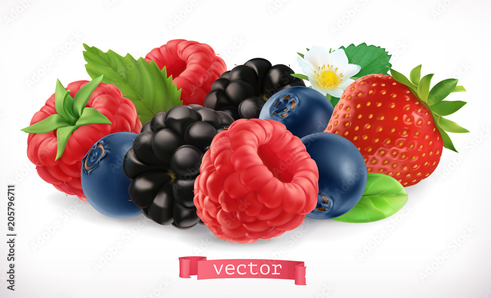 森林水果和浆果。树莓，草莓，黑莓，蓝莓。三维逼真矢量图标
