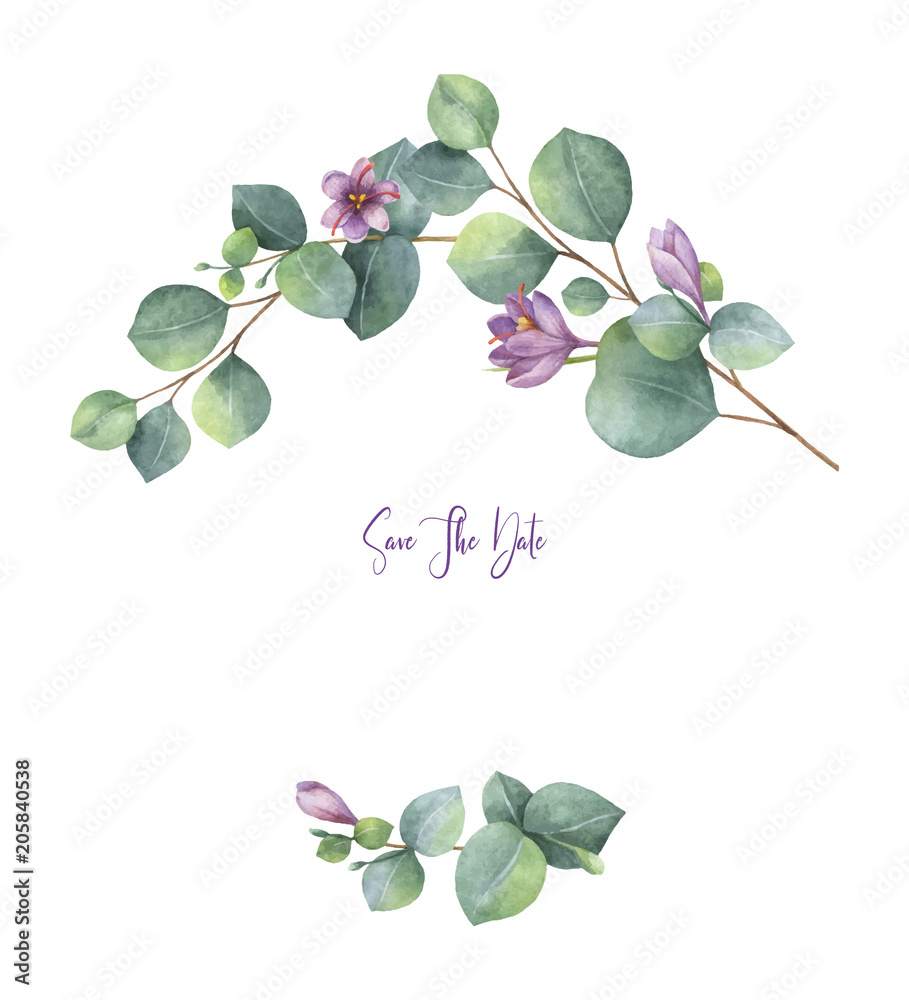 带绿色桉树叶子、紫色花朵和树枝的水彩矢量花环。