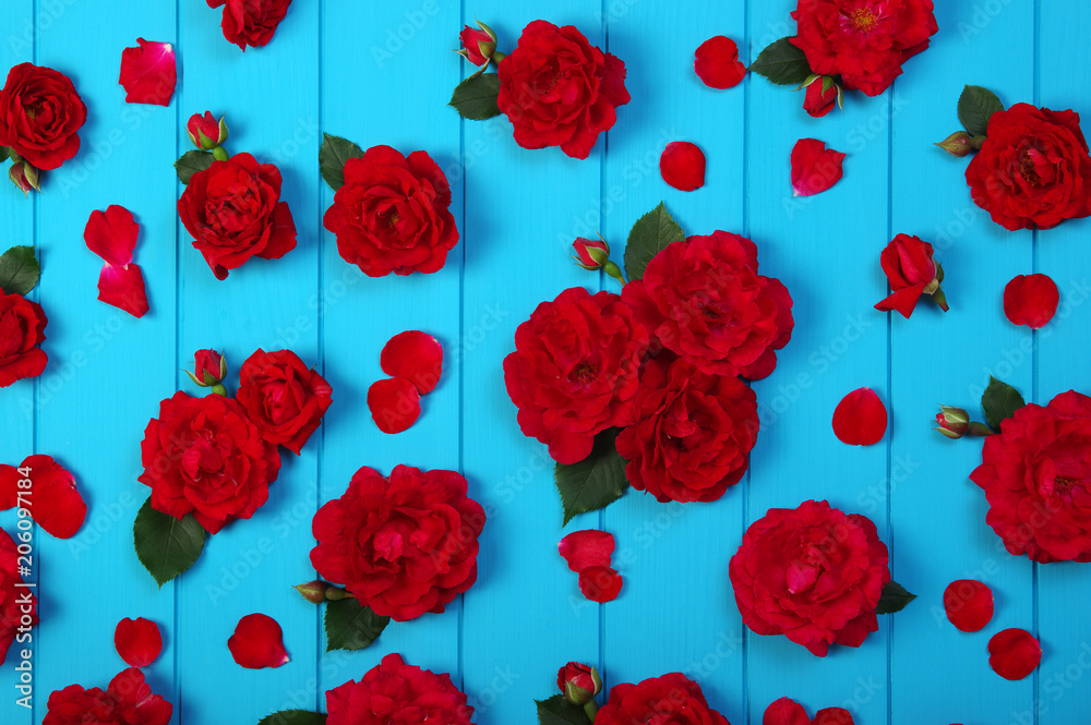 红玫瑰在蓝色的木头上开花。