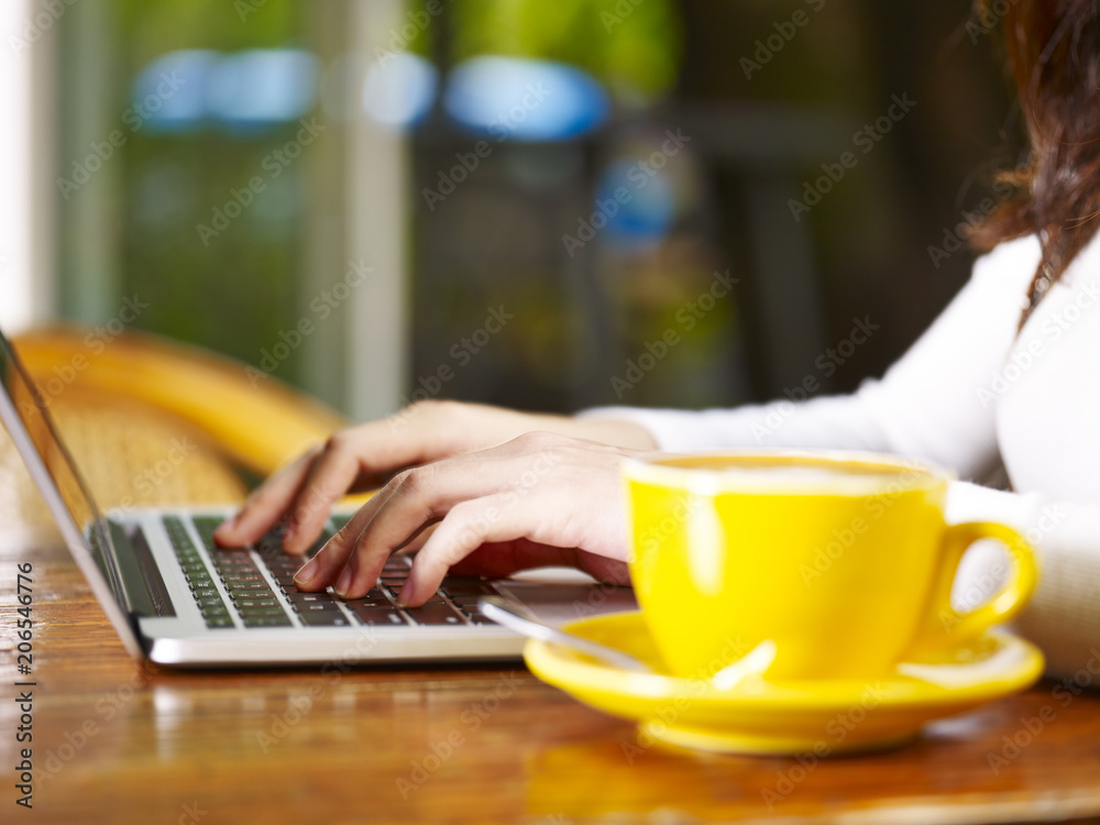 young woman using laptop in coffee shop