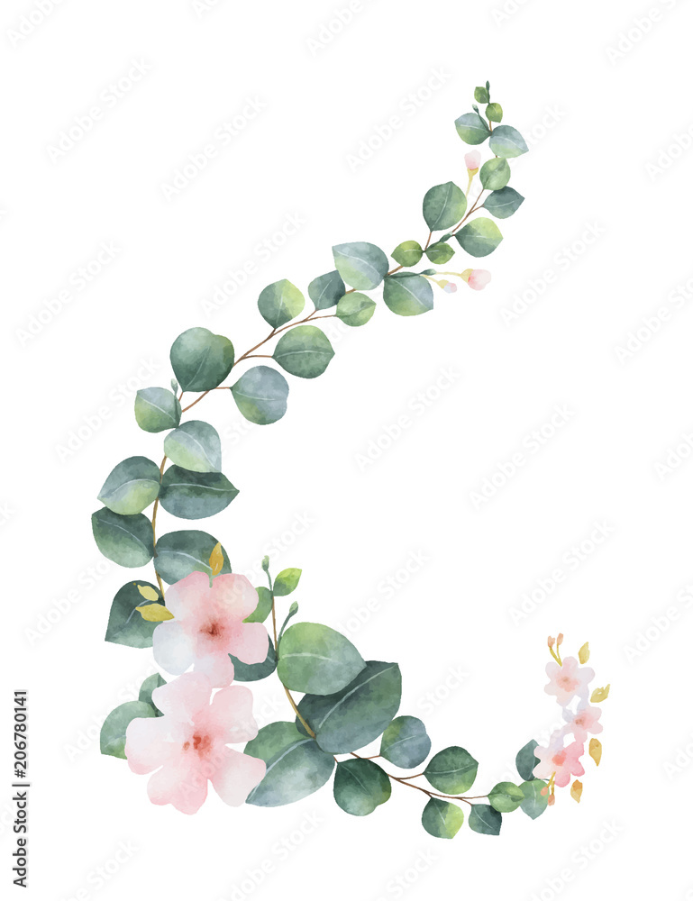 水彩矢量花环，绿色桉树叶，粉红色花朵和树枝。