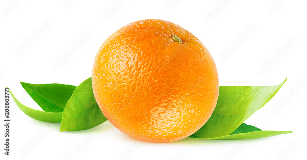 分离的橙色。新鲜叶子上的一个完整的橙色果实，在白色背景上分离，并用剪辑p