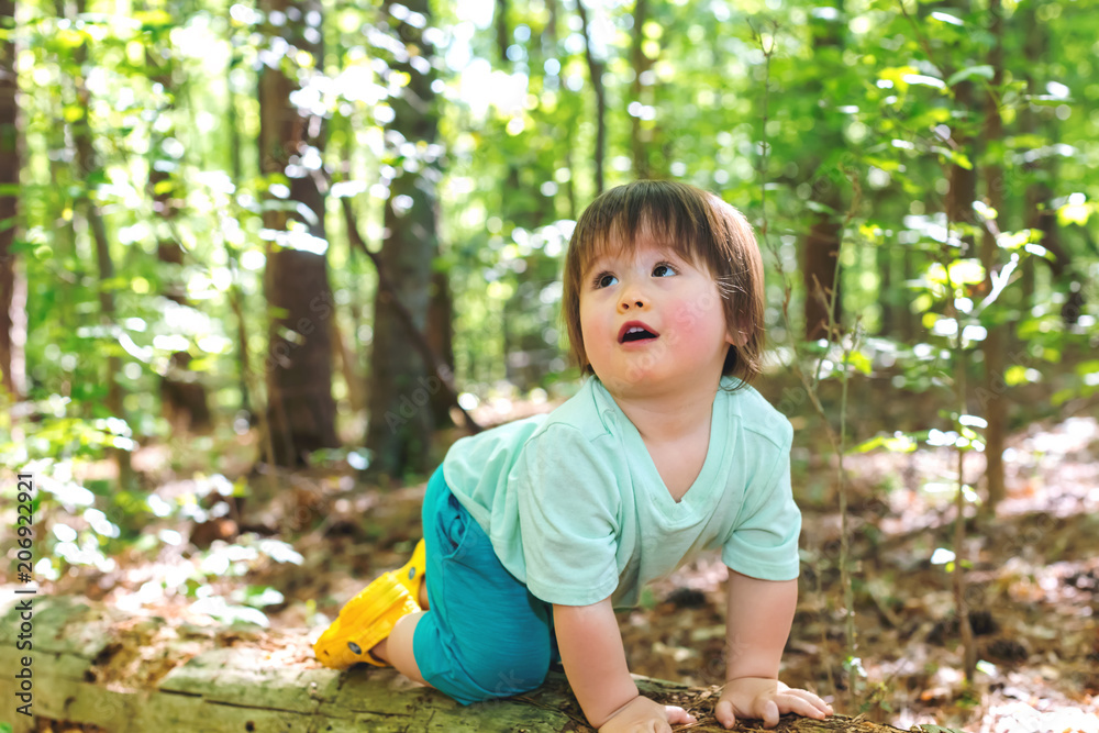 一个蹒跚学步的小男孩在森林里玩耍