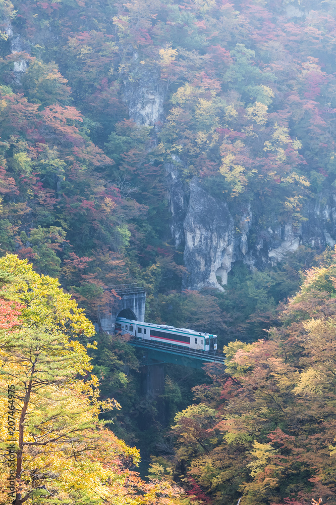 秋季Naruko峡谷的Rikuu线