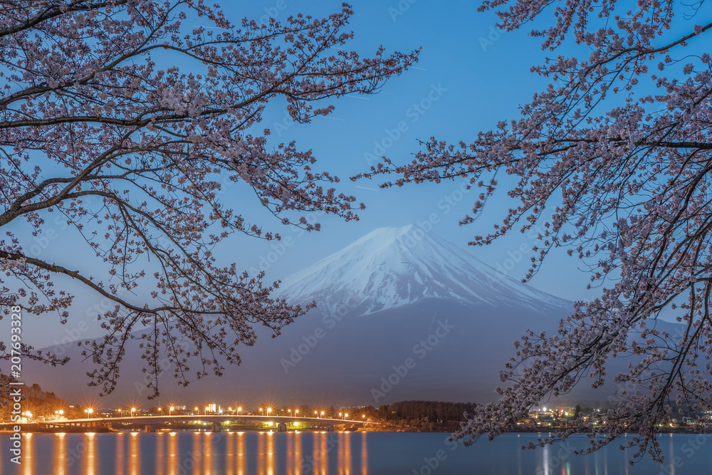 日本川口湖樱花和富士山春季夜景