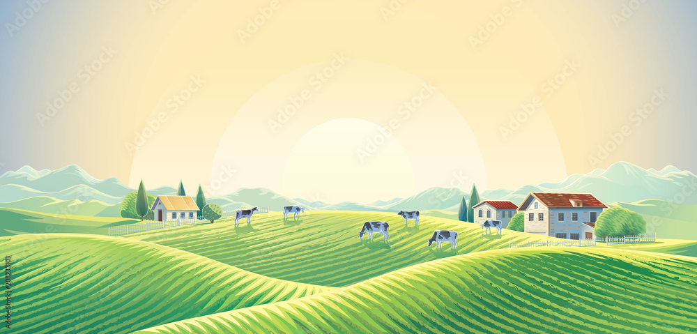 黎明时分，田野和牧场之间的夏季乡村景观中的牛群。矢量图。