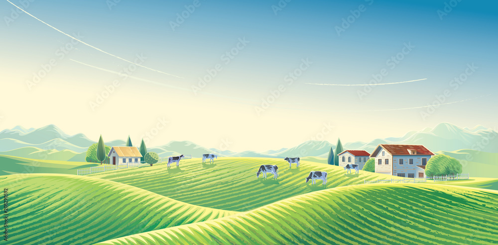 黎明时分，牛群在田野和牧场之间的夏季乡村景观中。矢量图。