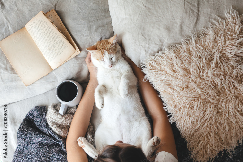 床上有猫、书和咖啡的Hygge概念