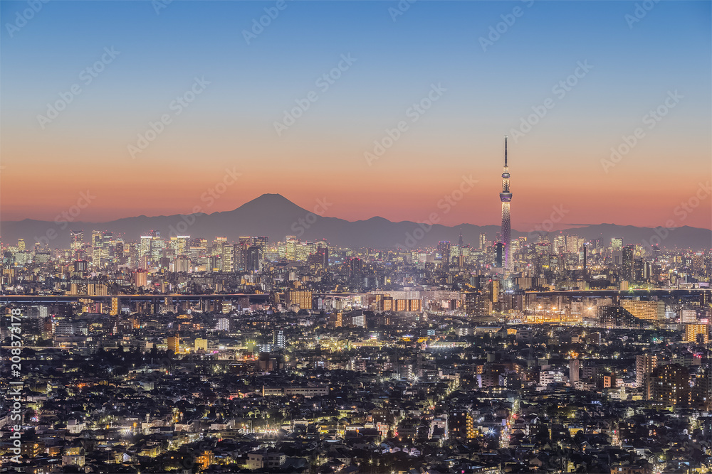 东京夜景，东京天树地标，东京市中心建筑区和胜利的富士山