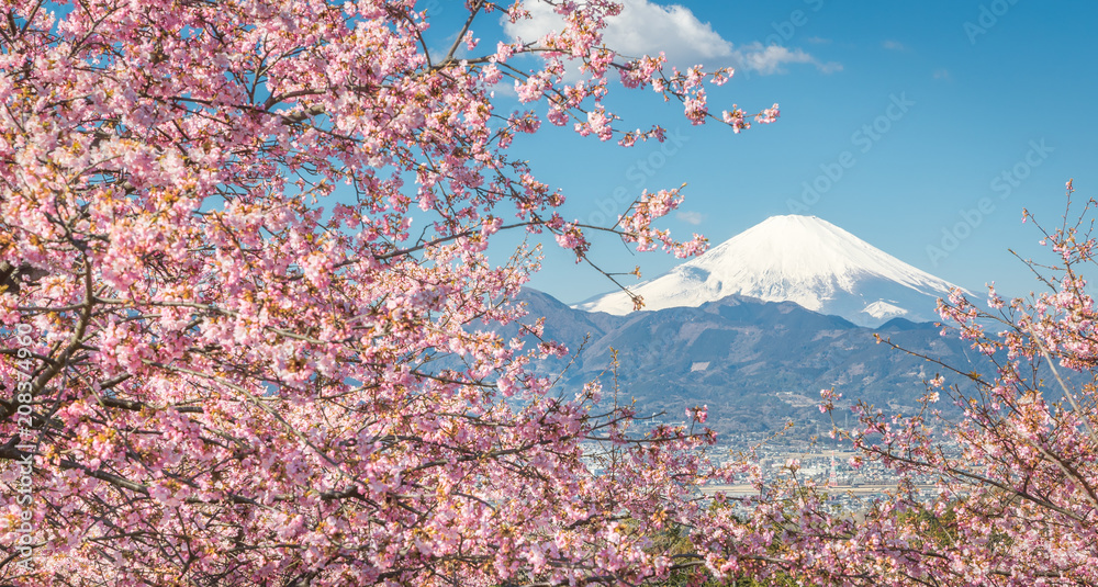 春日的川津坂原和富士山