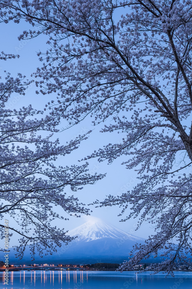 春季日本川口湖樱花和富士山夜景