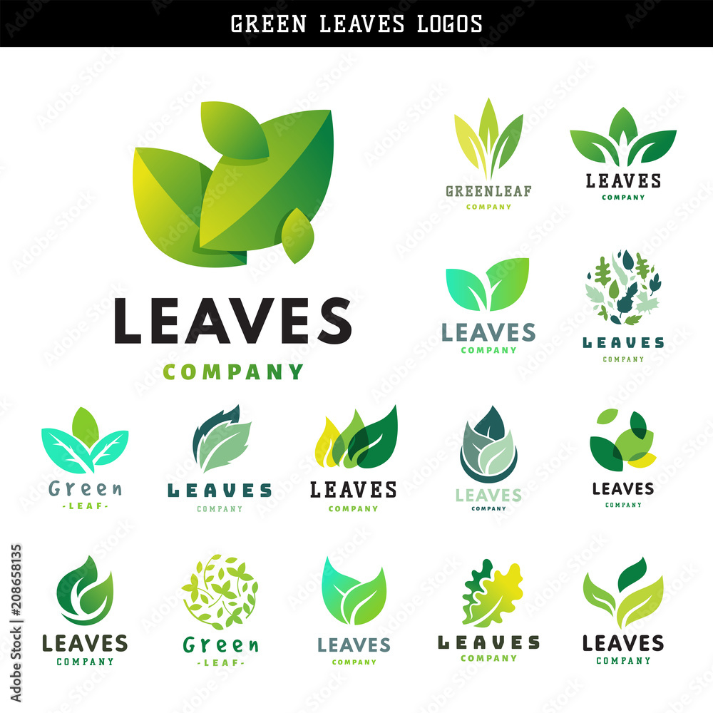 绿叶生态设计友好的自然优雅符号和自然元素生态有机载体病