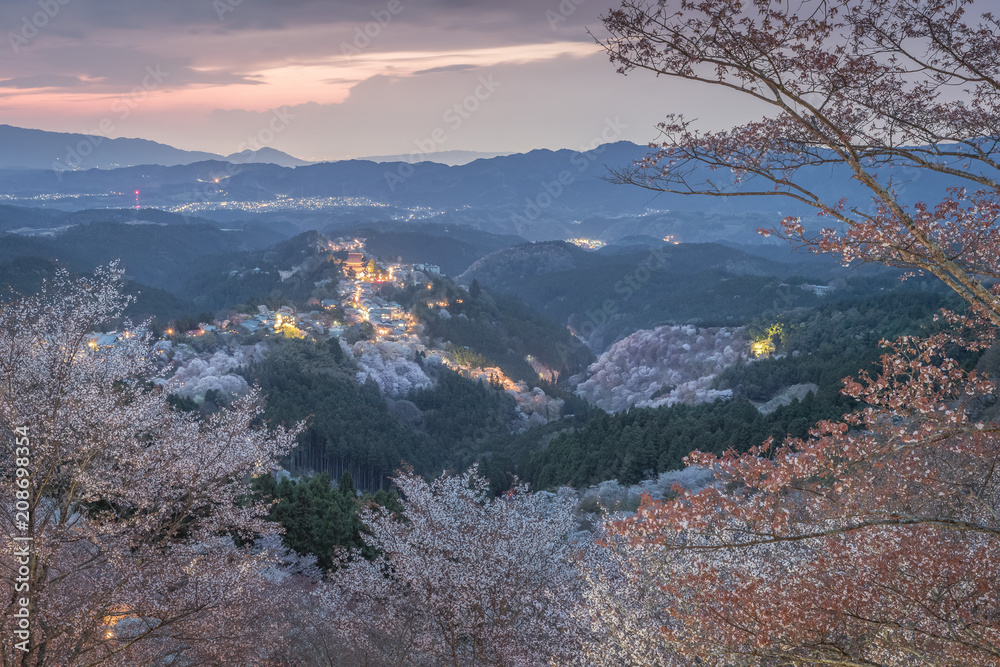 吉野山樱花点亮。日本最著名的奈良县吉野山