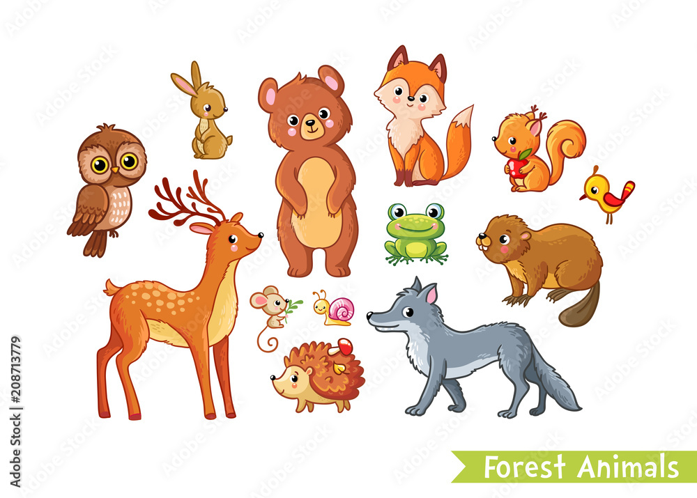 白色背景上的森林动物矢量集。儿童卡通风格的温和动物。