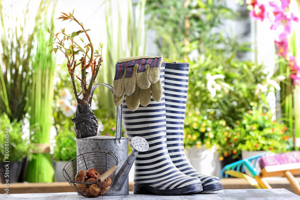 花园木桌上的橡胶靴、球茎和喷壶组成