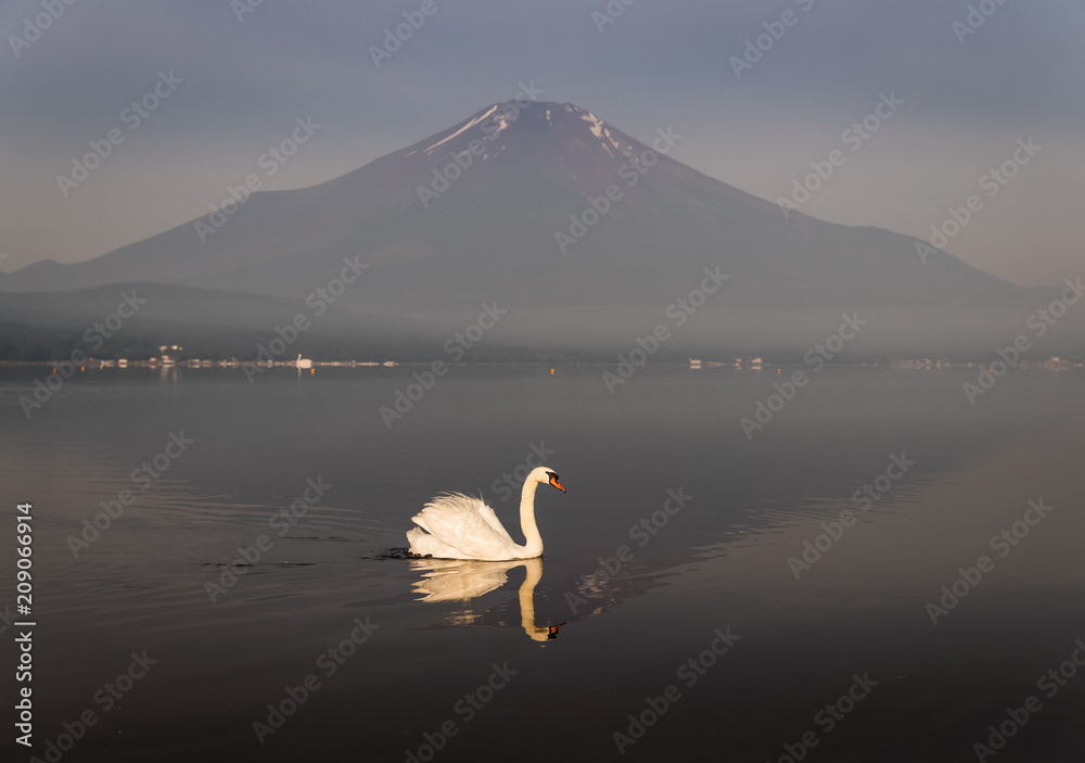 早晨在山中湖倒影的富士山